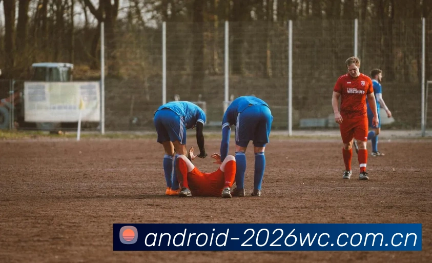 2026世界杯用户界面